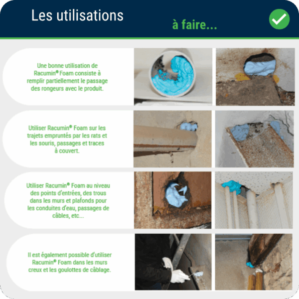 ENVU Racumin® Foam - Mousse anti rats et souris – Image 2