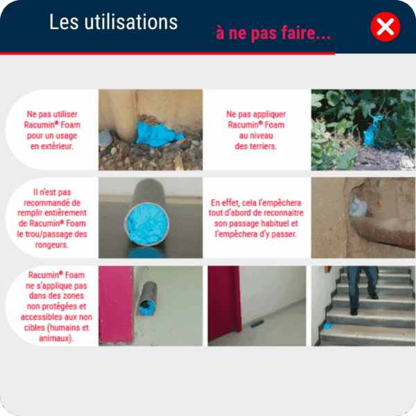 ENVU Racumin® Foam - Mousse anti rats et souris – Image 4