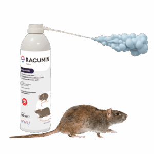 ENVU Racumin® Foam - Mousse anti rats et souris