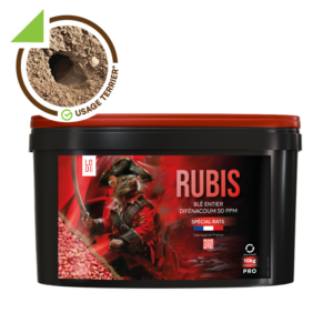 RUBIS Grain entier vrac