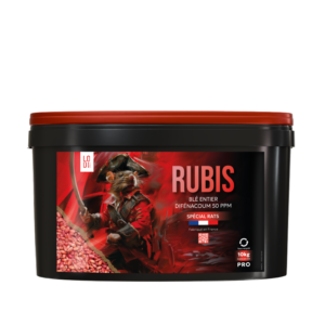 RUBIS Grain entier vrac