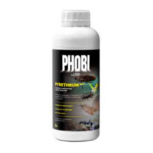 PHOBI PYRETHRUM NG 1L