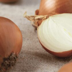 Oignons coupés, plante à l'odeur forte qui repousse les taupes.