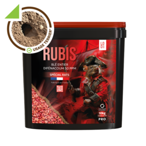 RUBIS Grain entier sachets